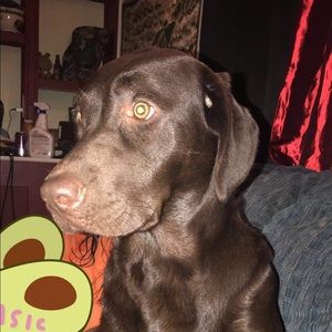 Meet your Posher, Tonya